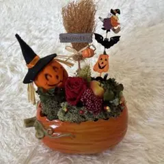 ハロウィン プリザーブドフラワー かぼちゃアレンジメント