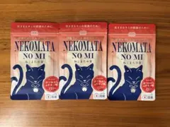 Item thumbnail for item 316512d9-a520-4f17-bee2-20f1d42c5759