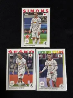 サッカートレーディングカードセット