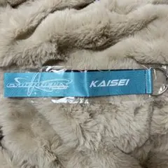 武知海青　ガチャガチャ