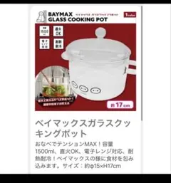 BAYMAX GLASS COOKING POT 両手鍋　新品未使用のサムネイル