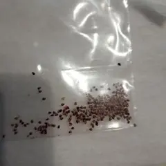 みっくさん様 リクエスト 3点 まとめ商品