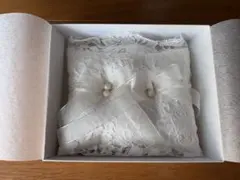 Item thumbnail for item 2f2f137a-c17c-40b4-ae76-f0f7b1963143