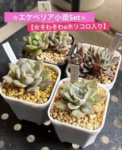 桜花様リクエスト3点おまとめ★Thanks♡