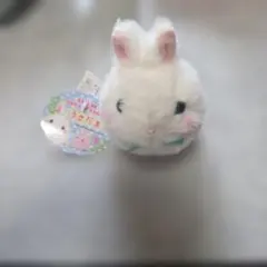 2026年最新】うさだまぬいぐるみの人気アイテム - メルカリ