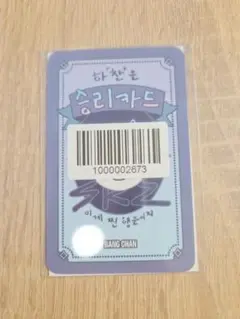 straykids スキズ KARMA リアルタッチ fans バンチャン④