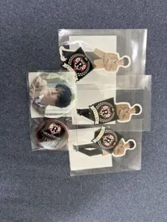 藤原樹 THE RAVERS DAY 缶バッジ ステッカー セット