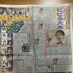 新聞 柏原芳恵 南野陽子 城みちる 伊藤咲子 大場久美子 AKB48 前田敦子