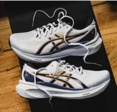 アシックス　ASICS　GEL-KAYANO30　ゲルカヤノ30 26.0cm