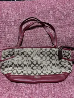 Item thumbnail for item f810fa9b-3598-4031-b46e-e5244f984636