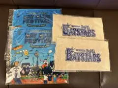 ベイスターズ ファンフェス 記念グッズ
