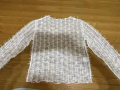 ホワイト シアー 長袖 トップス