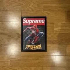 スケボー ポスター