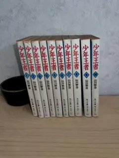 少年王者 全10巻 (文庫本欠け1巻)山川惣治 - メルカリ