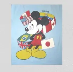 ▪️80s SHERRY’S ミッキー tシャツ 万国旗 水色 オフィシャル 綿
