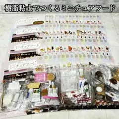 樹脂粘土でつくるミニチュアフード まとめ売り 1〜3、6〜69 ハンドメイド