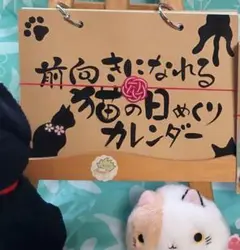 ★本日限定価格★敬老の日に贈る☆猫の日めくりカレンダー☆一組限定販売