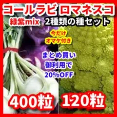 ロヴィン様 リクエスト 3点 まとめ商品