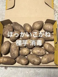 ブルー様 リクエスト 3点 まとめ商品