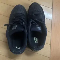 Nike Air Max 90 ブラック US8