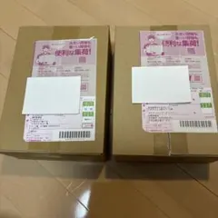 ポケモンカードゲーム MEGEドリーム& インフェルノX セット　ポケセン産