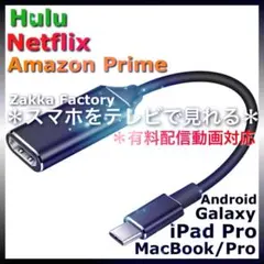 差込型 TypeC HDMI変換ケーブル iPhone15プロ テレビ ネトフリ