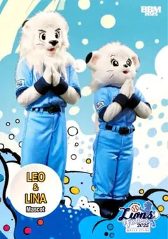 Heglar様 リクエスト 4点 まとめ商品