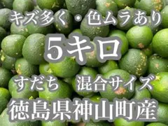 2025年最新】スダチの人気アイテム - メルカリ