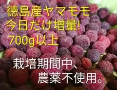 今日の17時まで増量中★コンパクト便発送★徳島のヤマモモ700g以上のサムネイル