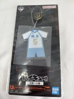 ハイキュー　一番くじ　全国への道　F賞　アクリルチャーム　星海光来