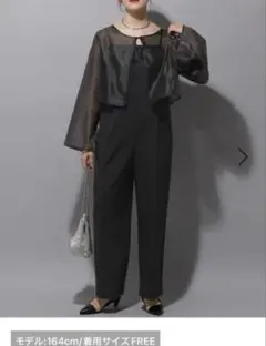 LEPSIM/シアー2way/オールインワン/ブラック/結婚式/オケージョン