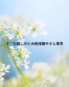 lis✯プロフ必読✯さん専用 lis✯プロフ必読✯さん専用 - メルカリ
