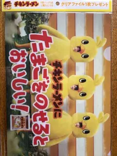 チキンラーメン クリアファイル timeleszひよこ組