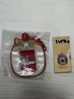 ハイキュー!! ミニフォトホルダー　ヒナガラスデザイン　ケンマネコ　孤爪研磨