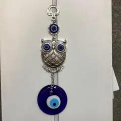 フクロウがぶら下がっている邪眼