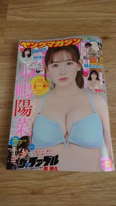 ヤングマガジン NO52 小嶋陽菜　応募券なし