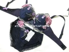 サルート/のだめカンタービレ　C75　SX　91G 2025年最新】サルート91の人気アイテム - メルカリ