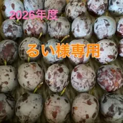 るい様専用のサムネイル