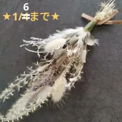 Item thumbnail for item a380530b-a08f-4873-9dbf-147afe717675