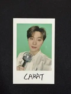 SEVENTEEN ディノ FOLLOW AGAIN インスタントフォト チェキ