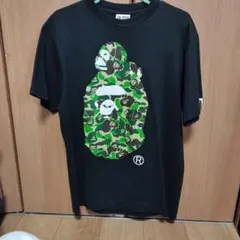 Item thumbnail for item 1e4c9f3b-eca0-4466-8a9f-c9acede0236b