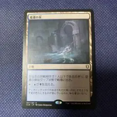 MTG 変遷の泉 日本語マジックザギャザリング