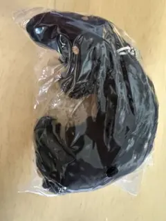 可*可様 long long Dachshund ブラックタン