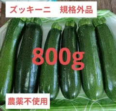 ズッキーニ　規格外品　800g　農薬不使用　岩手県産のサムネイル