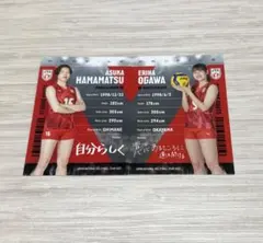 バレーボール女子日本代表2025 トレーディングカード 濱松明日香 小川愛里奈