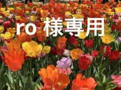ro 様専用