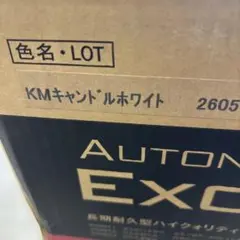 2026年最新】KMキャンドルホワイトの人気アイテム - メルカリ
