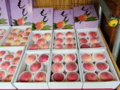 JA和歌山（紀の里 東部）紀の里の桃 『なつっこ』 赤秀 12玉 約4kg×2箱