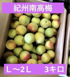 和歌山県産 完熟南高梅‼️L〜2L混合‼️3kg みかんキング 家庭用