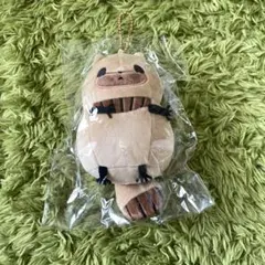 嗚呼、たぬきはもうだめです BIGぬいぐるみ namco限定 - メルカリ